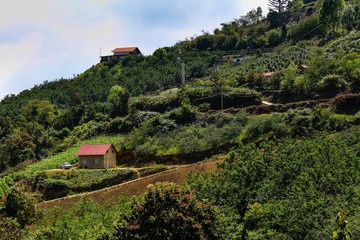 Fototapeta premium la Casita
