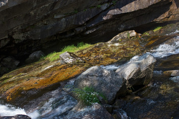 Grass, rock and streaming water