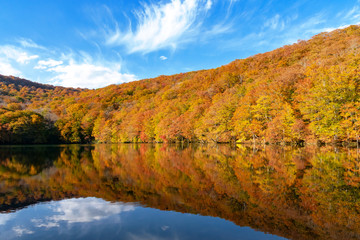 【青森県十和田市】秋の蔦沼巡りは燃えるような紅葉の真ん中