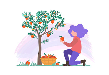 vector illustration of a young girl picking apples in the garden, harvesting flat design