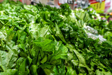 Organic vegetables. Fresh vegetable. Lettuce for making a salad. Salad background.