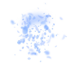 Dark blue flower petals falling down. Great romant