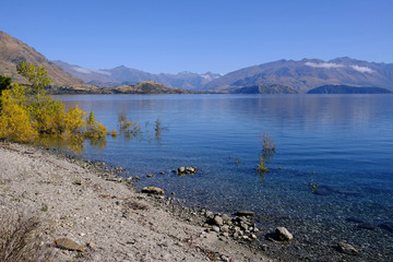 Eely Point & Lake Wanaka, Otago, New Zealand