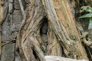 statue in a tree