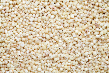 Sorghum rice. Food background.