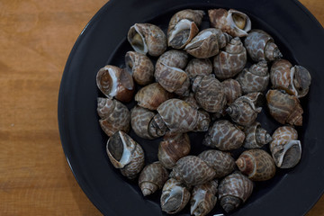 Grilled Spiral babylon snail on plateใ The famous thai street seafood.