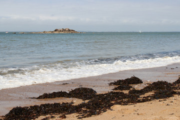 Atlantic littoral - Noirmoutier Island (France)