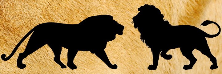 Pattern L&ouml;wen panorama gelb