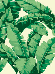 Seamless pattern banana tree and leaves that it is a tropical plant on white background, flat line vector and illustration.