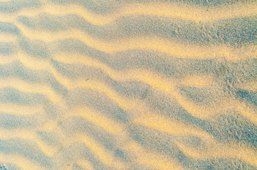 Golden light on the sand ripples 