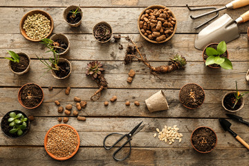 Composition with gardening tools and plants on wooden background