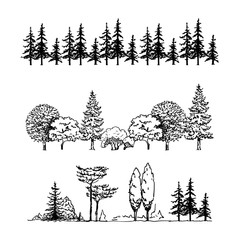 a set of graphic tree illustrations, a row of trees isolated on white background