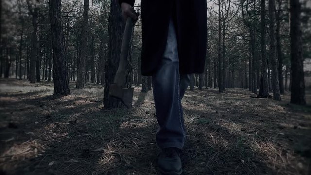 Aggressive maniac takes axe to commit murder in woods