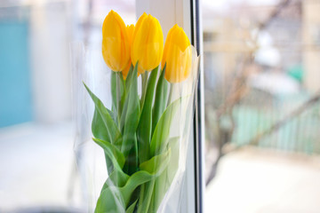 Spring bouquet of yellow tulips on window