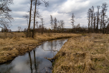 Dolina Narwi. Rzeka Łoknica,Podlasie, Polska