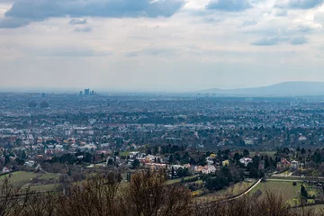 Deurstickers Vienna, Austria in spring , view from Kahlenberg hill. © Janis Smits