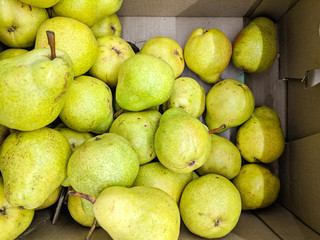 Green pear  in box, background. Fresh peares variety grown in the shop. Pear suitable for juice, strudel, pear puree, compote