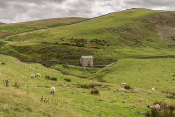 North Pennines landscape on the way between Dufton and High Cup Nick in Cumbria, England, UK