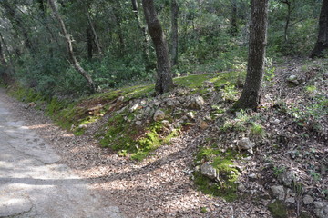 Mallorca