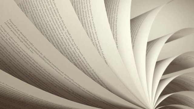 Turning Pages (Loop 4K) English Book
