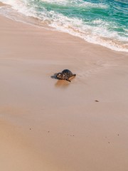 The pool in La Jolla San Diego, a place where the sea lions 