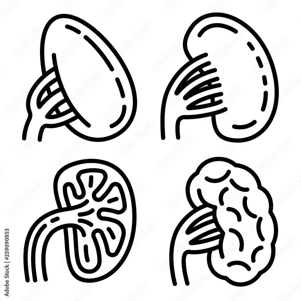 Poster spleen icons set. outline set of spleen vector icons for web design isolated on white background