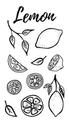 Hand drawn fruits lemon set vector illustration isolated on white background. Whole, parts, leaves and brunches sketch style collection