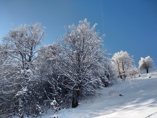 Paisaje de invierno con montañas y árboles cargados de nieve en pueblo de Parva Transilvania Rumanía