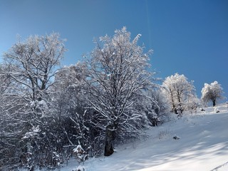 Fototapeta premium Paisaje de invierno con montañas y árboles cargados de nieve en pueblo de Parva Transilvania Rumanía