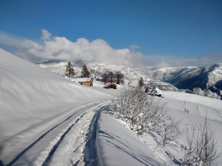 Paisaje de invierno con montañas y árboles cargados de nieve en pueblo de Parva Transilvania...