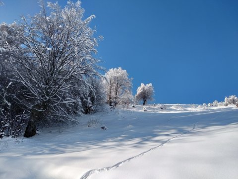 Paisaje de invierno con monta&ntilde;as y &aacute;rboles cargados de nieve en pueblo de Parva Transilvania Ruman&iacute;a