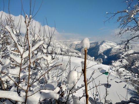 Paisaje de invierno en pueblo de Parva, Ruman&iacute;a Transilvania ramas de &aacute;rbol cargados con nieve