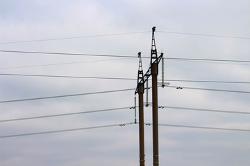 electric pole close up