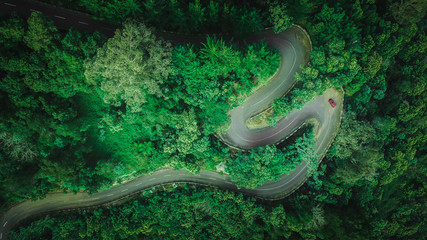 Aerial view of car driving through the forest on country road. Faial, Madeira island, Portugal