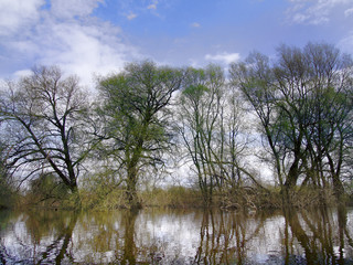 The spring high-water season on river