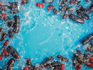 Focus Blurred For Food Background, view of Fresh water cleaning ripe Mulberry fruit and red wine grapes in blue tank background.