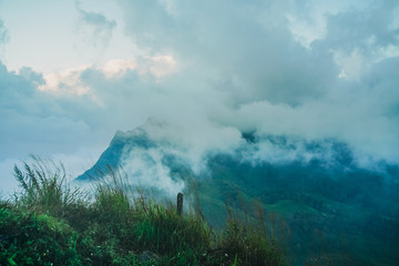 Mist mountain on rainy season. Beautiful mist mountain after raining. Mountain landscape at Phu Chi Dao in Chiangrai the north of Thailand