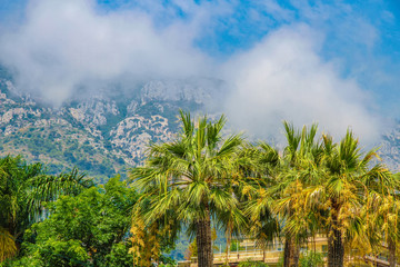 Fototapeta na wymiar Landscape view of Monte Carlo, Monaco