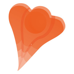 Exotic physalis icon. Cartoon of exotic physalis vector icon for web design isolated on white background