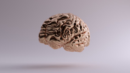 Bronze Anatomical Brain Front 3Q Left 3d illustration 3d render
