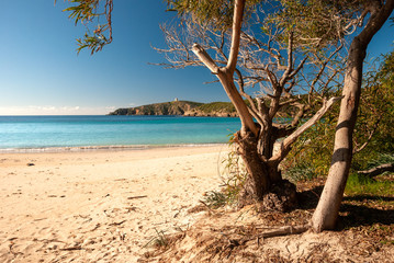 Spiaggia di Tuerredda, Sardegna, Italia