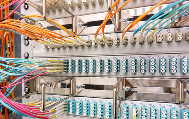 Netzwerk Switch und Netzwerkkabel in einem Rechenzentrum