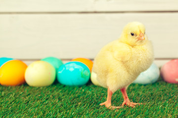 Easter eggs and chickens on green grass