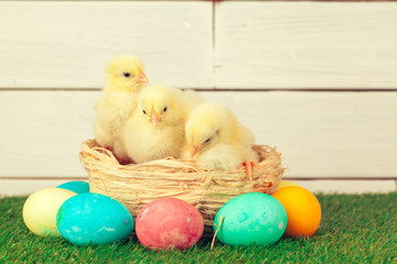 Easter eggs and chickens on green grass