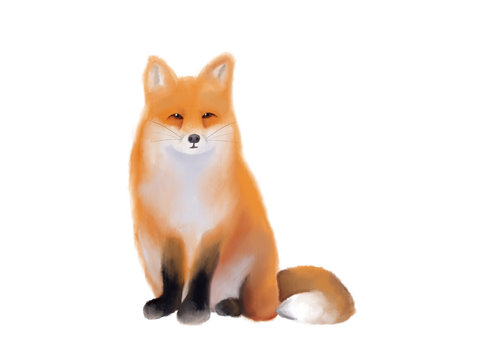 Watercolor illustration, hand drawn. Isolated image of cute little red fox.