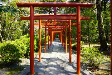 Red shrine gates in Japan