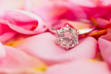 Jewelry diamond ring on beautiful pink rose petal background