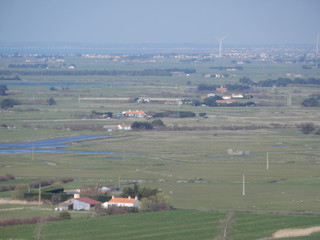Marais Breton, Notre-Dame de Monts, vend&eacute;e, France