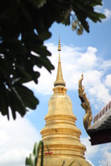 Naklejka premium pagoda in thailand