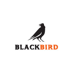 Bird logo design vector template